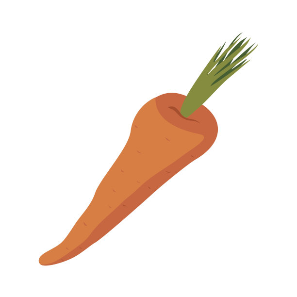 胡萝卜孤立。白色背景上的橙色蔬菜。吃素食图片下载