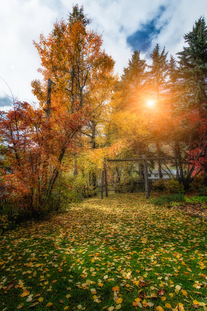 秋天的颜色图片下载