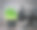 狗嗅着青草(发芽的燕麦)图片下载