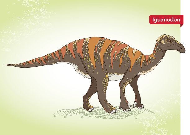 向量插图条纹禽龙在绿色背景。图片下载