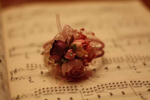 花手镯图片下载