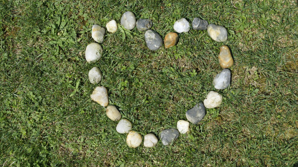 石头的心图片下载