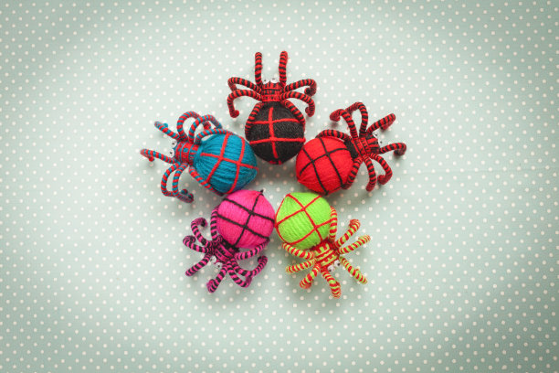 五颜六色的蜘蛛图片下载