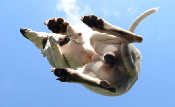 3号楼下的惠比特图片下载