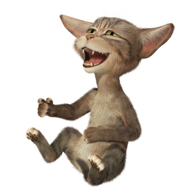 毛茸茸的小猫抱着肚子笑图片下载