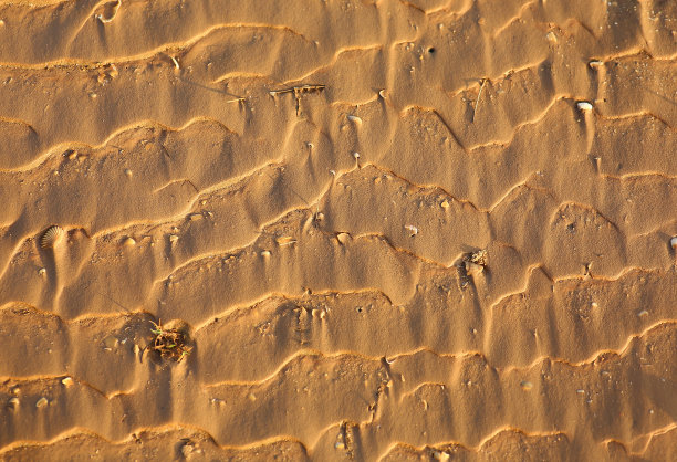 沙漠里的沙子波图片下载