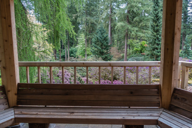 板凳和森林图片下载