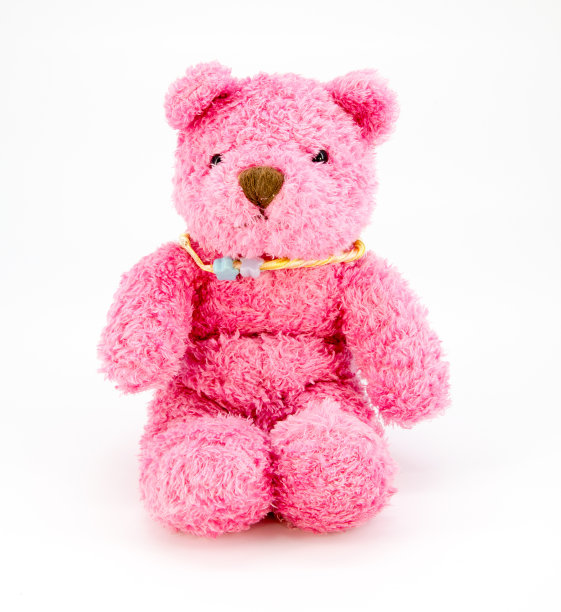 泰迪熊被孤立在白色背景上图片下载