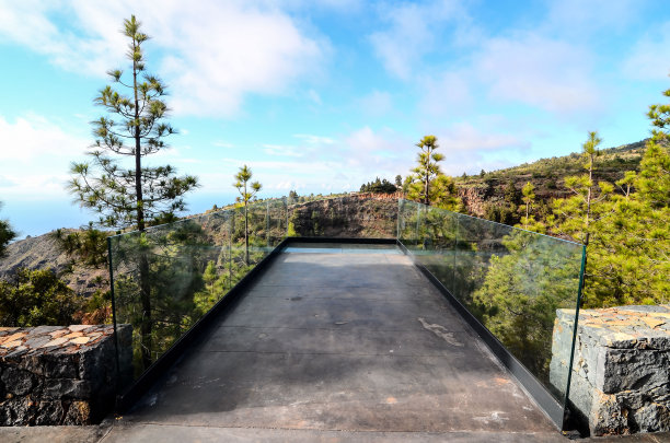 松树树视图图片下载