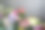 花店图片素材ID：157459876