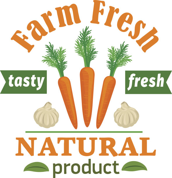 胡萝卜和大蒜。农用新鲜蔬菜产品图片下载