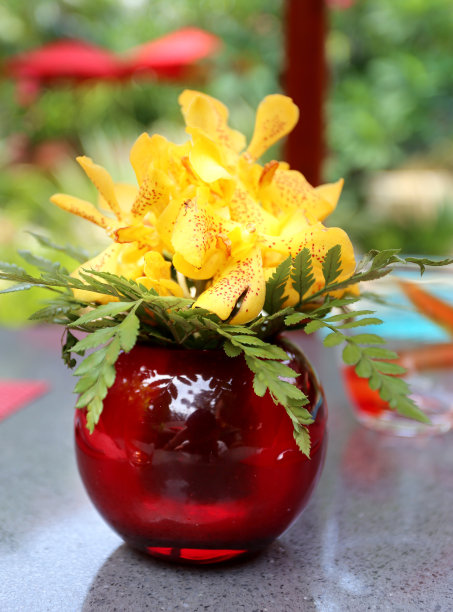 束兰花图片下载