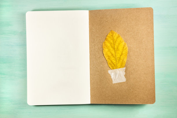 秋叶贴在回收的牛皮纸上图片下载