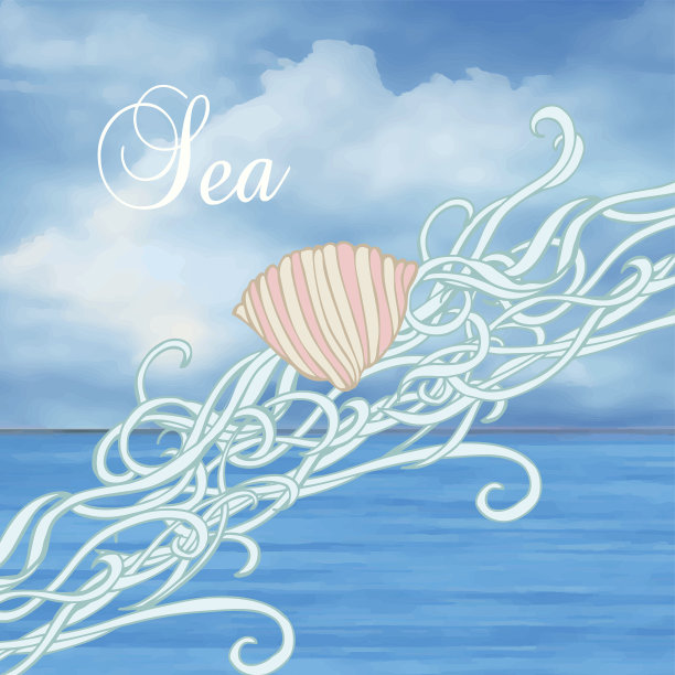 贝壳海洋背景图片下载