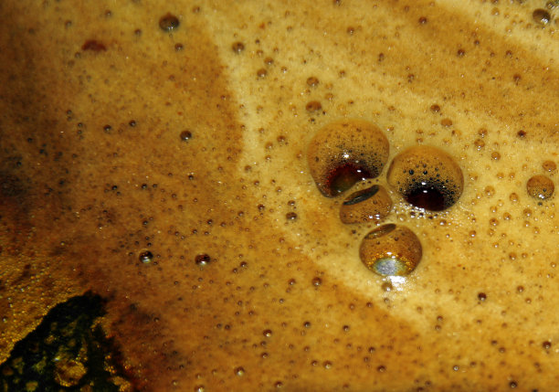 抽象泡泡咖啡背景图片下载