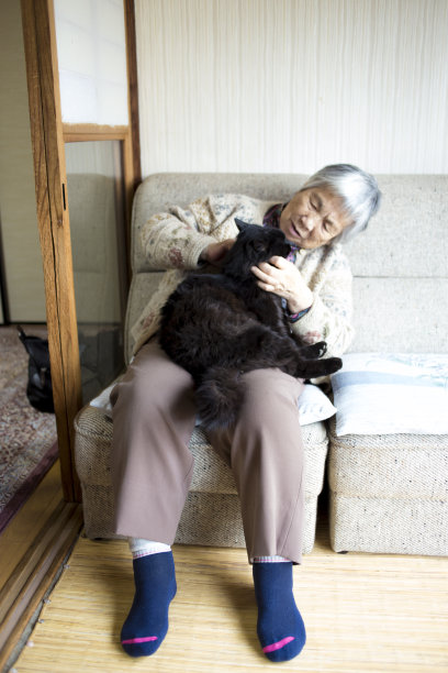 抱着一只猫在他腿上的老太太图片下载