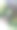 会Herbal玉蜀黍图片下载