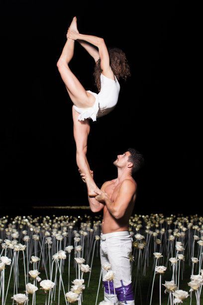 在玫瑰图片下载