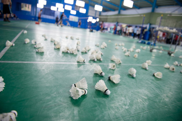 羽毛球图片下载