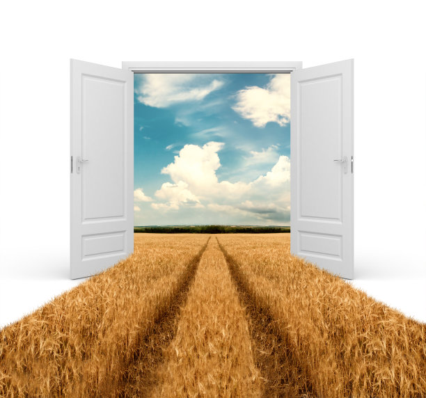 穿过麦田的公路图片下载