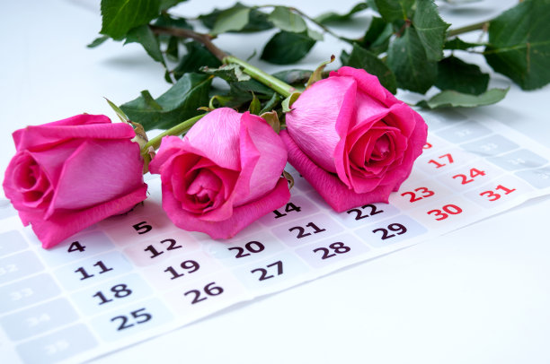 日历上有三朵粉红色的玫瑰图片下载