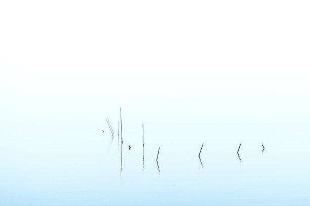 钓鱼股份图片下载