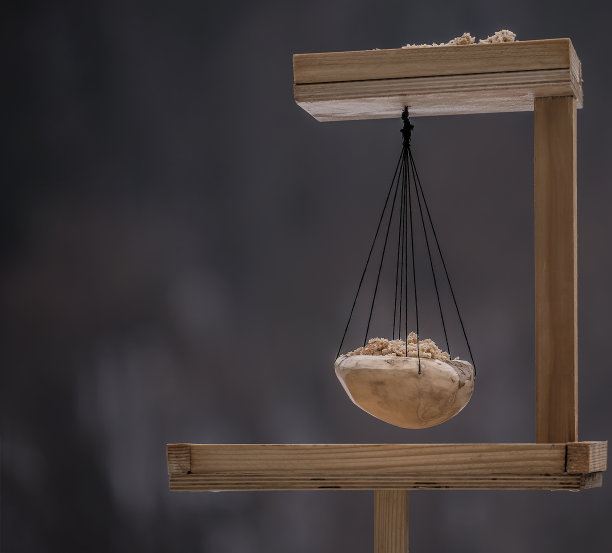 鸟取食场所图片下载