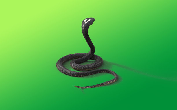 眼镜王蛇蛇图片下载