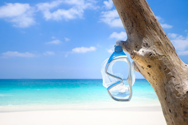 面具挂在树上，蓝天和海滩上图片下载