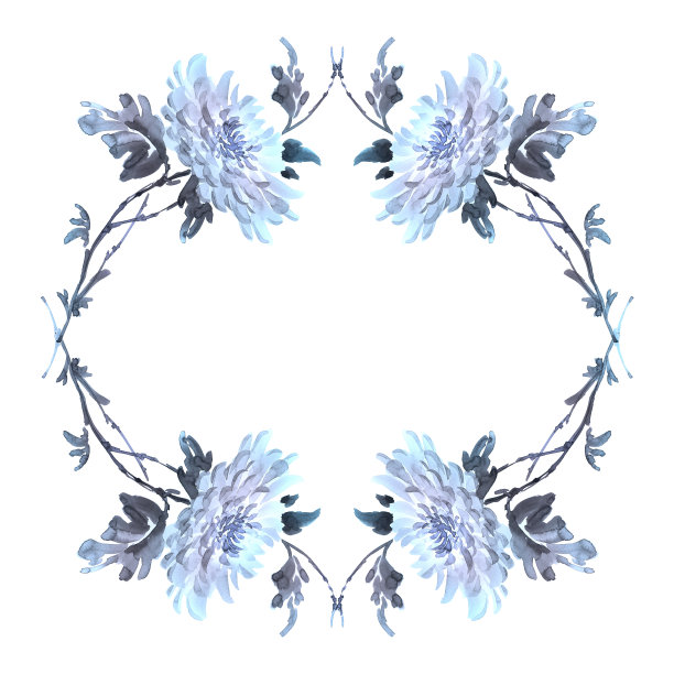 墨汁插图框架与菊花。图片下载