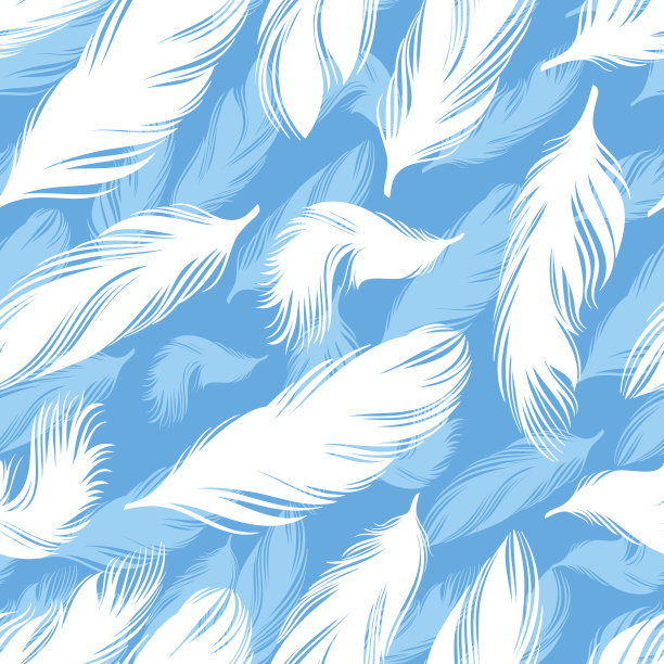 蓝色的羽毛图片下载