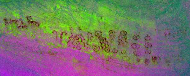 Cobacho del Morro洞穴大衣(假颜色)。索里图片下载