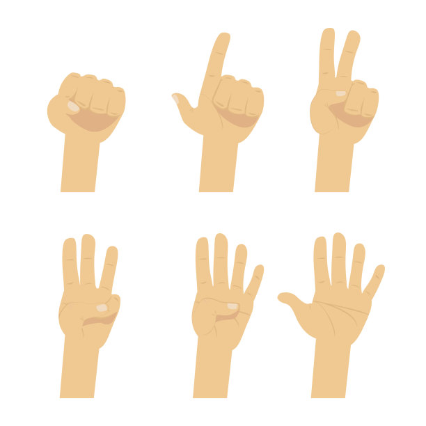 手数。扁平手指和数字孤立在白色背景上。图片下载