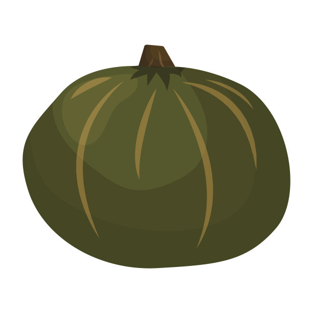 鲜绿南瓜蔬菜分离载体插图图片下载