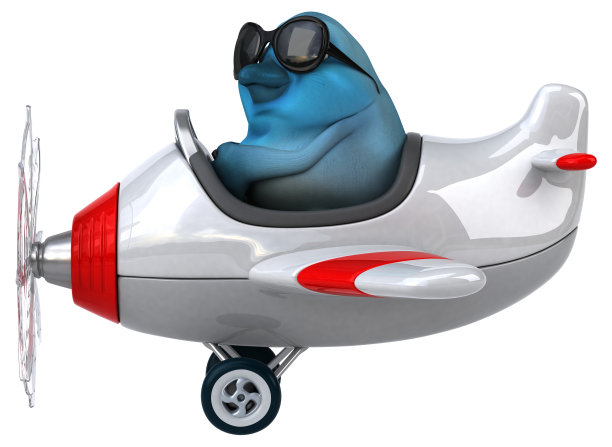 蓝色的鸟图片下载