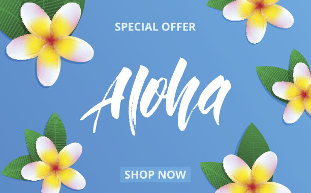 带有鸡蛋花和“Aloha”字样的夏季促销banner，用于促销、折扣、销售、网络。素材图片