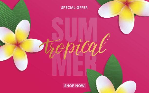 夏季销售横幅与鸡蛋花和字母热带推广，折扣，销售，网络。图片下载