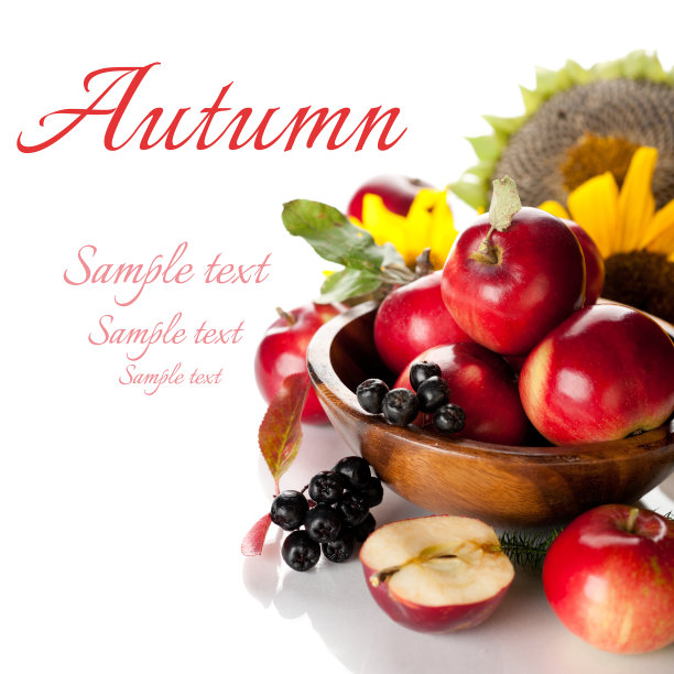 红色苹果在白色背景与样本文本图片下载