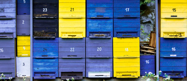 蓝色和黄色的蜂巢图片下载