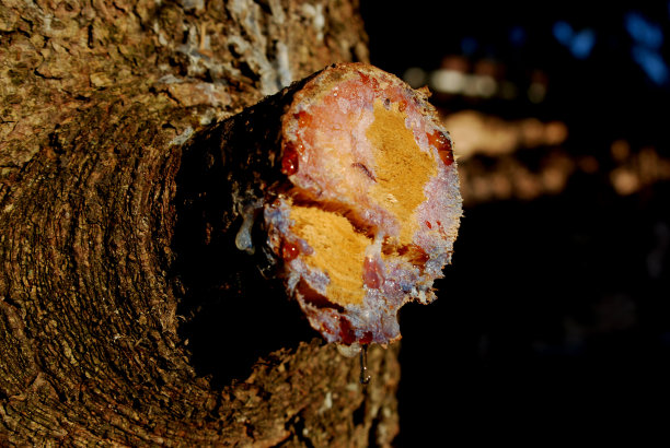 冷冻液图片下载