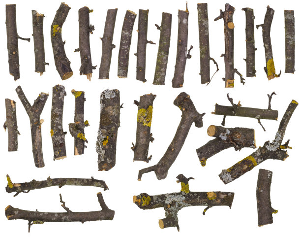 烧烤用的最好的煤是用苹果树和樱桃木做的。分支独立设置图片下载