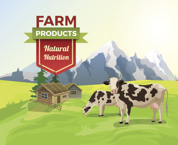 平面奶牛田间和农村建筑信息图模板矢量插图。自然生态和新鲜农产品理念。图片下载