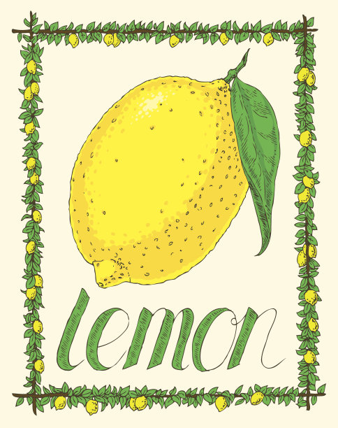 柠檬和叶子图片下载