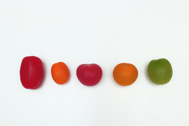 白色的桌子上有5个彩色的西红柿图片下载