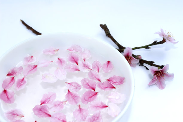 水中桃花花瓣图片下载