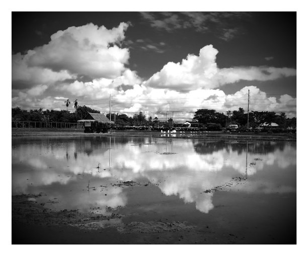 春天的方式图片下载