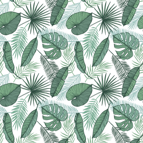 手绘矢量背景-棕榈叶(怪物，槟榔棕榈，扇棕榈，芭蕉叶)。热带无缝模式。适合打印，海报，邀请函等图片下载