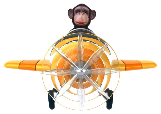 有趣的猴子图片下载