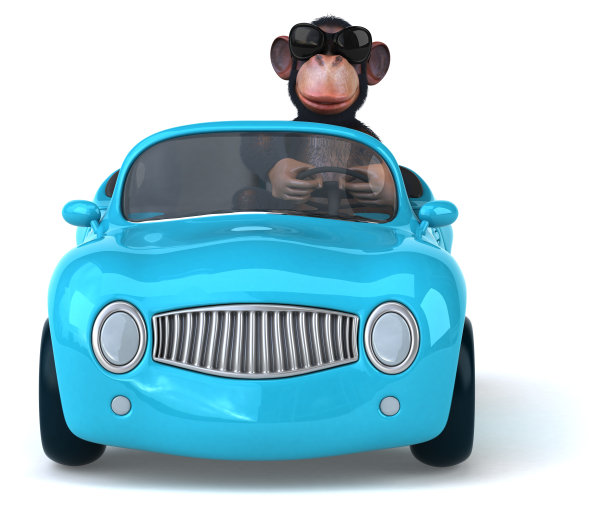 有趣的猴子图片下载