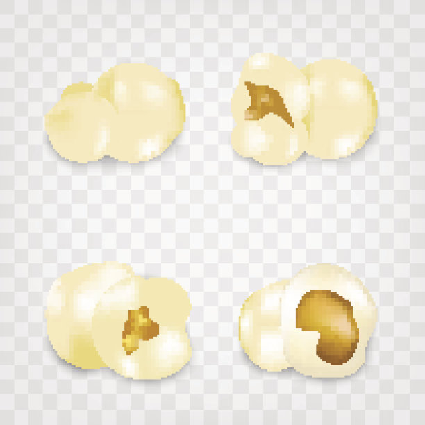 流行的玉米。现实的。矢量图图片下载